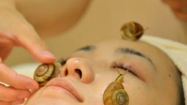 Masker lendir siput