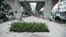 Sejumlah tanaman yang disiapkan terlihat saat pengerjaan proyek revitalisasi trotoar di sepanjang Jalan Satrio-Casablanca, Jakarta Selatan, Selasa (10/12/2019). Kawasan ini akan menjadi tempat warga berkegiatan. (Liputan6.com/Faizal Fanani)