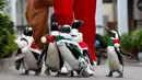 Penguin Afrika mengenakan kostum bertema Natal menghibur penonton di Hakkeijima Sea Paradise di Yokohama (11/11). Acara The aquarium's Christmas ini digelar dari 11 November hingga perayaan Natal, 25 Desember. (AFP Photo/Toshifumi Kitamura)