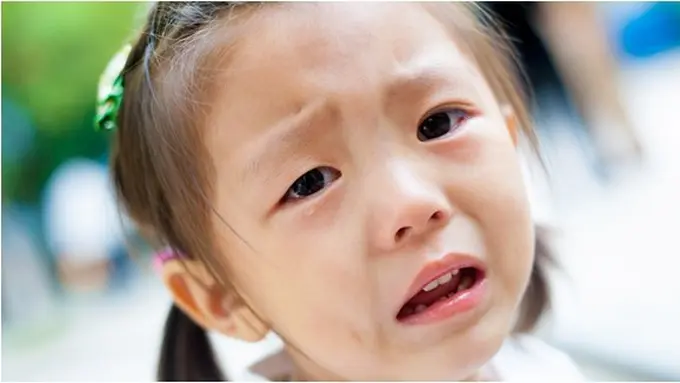 foto: copyright thinkstockphotos.com