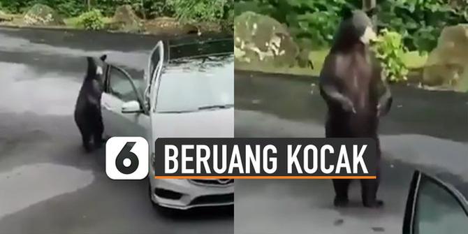 VIDEO: Kocak Beruang Buka Pintu Mobil di Pinggir Jalan, Ekspresinya Bikin Ngakak