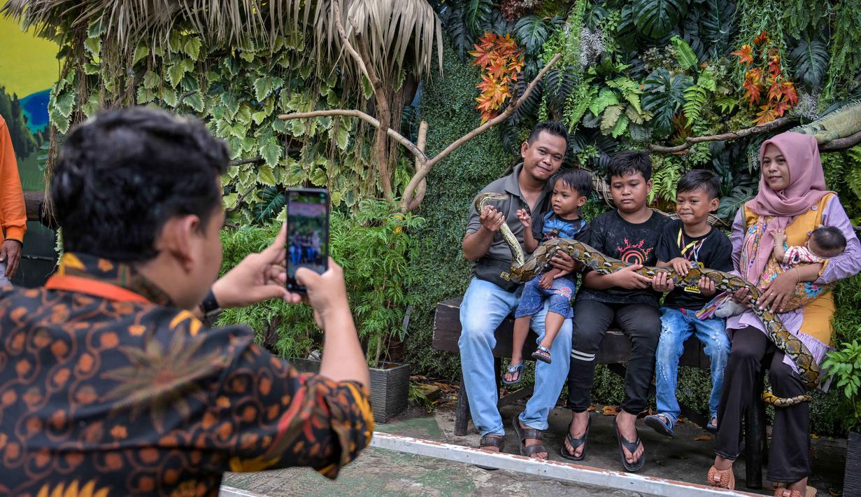 Untuk menyambut libur panjang Nataru 2025/2026, pengelola Kebun Binatang Surabaya (KBS) telah menyiapkan sejumlah program dan hiburan khusus bagi para pengunjung. Tampak dalam foto, seorang karyawan kebun binatang (kiri) mengambil foto sebuah keluarga yang memegang ular piton di Kebun Binatang Surabaya, Jawa Timur, selama libur sekolah sekaligus jelang Natal dan Tahun Baru pada Minggu 21 Desember 2025. (JUNI KRISWANTO/AFP)