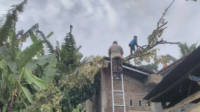 Puting beliung merusak puluhan rumah di Desa Gandatapa, Sumbang, Banyumas. (Foto: Liputan6.com/Tagana Banyumas/Muhamad Ridlo)