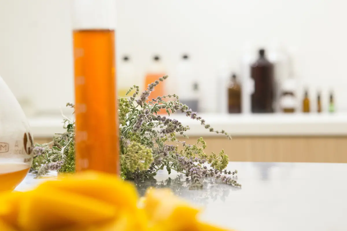 Ilustrasi skincare