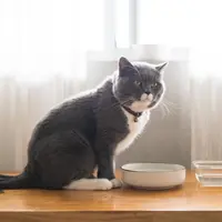 Cari tahu mana yang lebih cocok yuk!