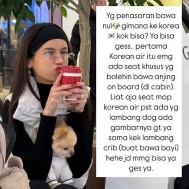 Sabrina Chairunnisa Ungkap Cara Bisa Bawa Anjingnya Naik Pesawat ke Korea