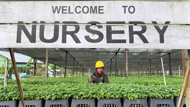 Penanaman pohon gamal oleh PT Biomasa Jaya Abadi yang kesebelas juta yang didahului dengan upacara adat Gorontalo. (Dok BJA)