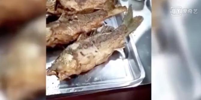 VIDEO: Heboh, Ikan Selesai Digoreng Masih Bergerak