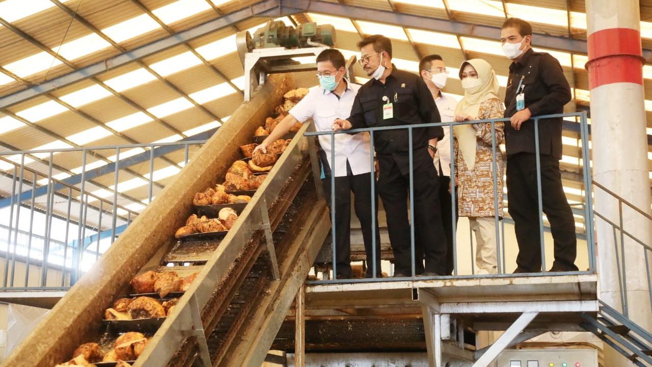 Mentan Syahrul Yasin Limpo