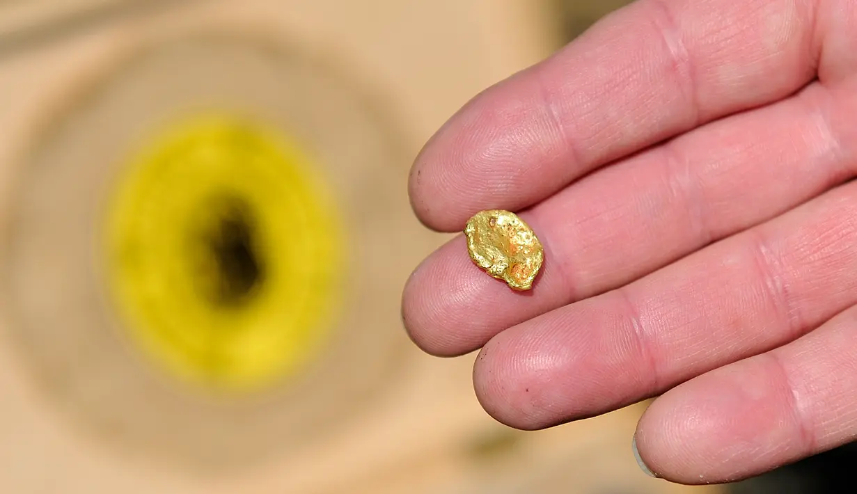 Seorang peserta memperlihatkan emas hasil temuannya saat kejuaraan Dunia Gold Panning Dirk Mehlhorn di Zlotoryja, Polandia, 28 Mei 2016. Kejuaraan tahunan di dekat Sungai Kaczawa ini diikuti penggali emas profesional dari seluruh dunia (Piotr HAWALEJ/AFP)