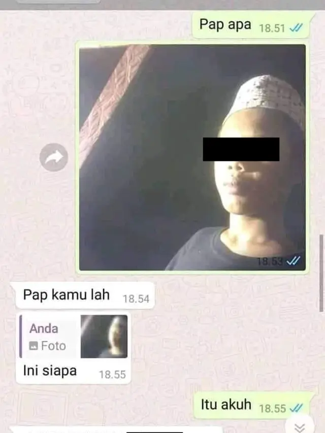 5 Chat WhatsApp PDKT dengan Gebetan, Ujungnya Ditolak Meski Sudah Berjuang