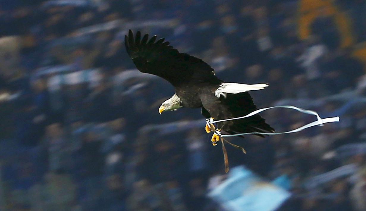 Maskot Klub Lazio, Olympia  terbang diatas lapangan sebelum pertandingan SS Lazio vs Juventus pada lanjutan Liga Italia Serie A di Stadion Olimpico, Sabtu (5/12/2015) dini hari WIB. (REUTERS/Tony Gentile)