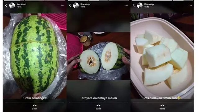 6 Momen Apes saat Mau Makan Semangka Ini Bikin Geregetan