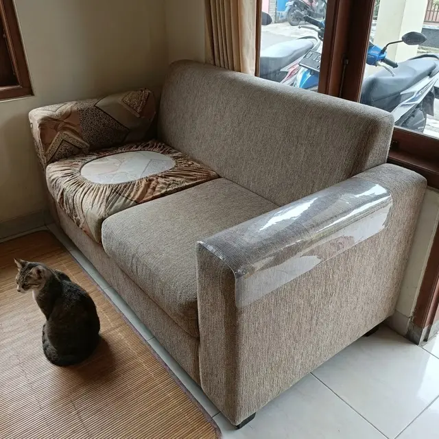 Tips Mengatasi Kucing Garuk Sofa Terus