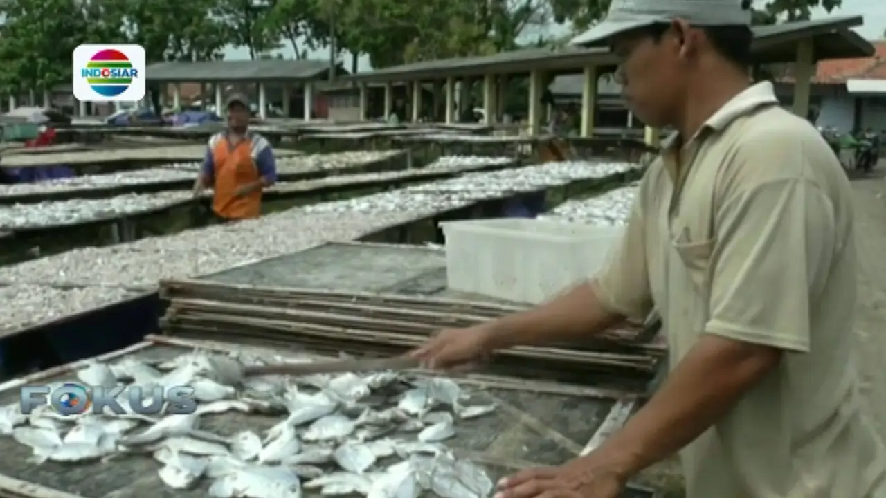 Harga Garam Selangit, Perajin Ikan Asin Menjerit di Pemalang