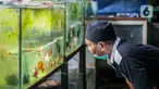 Warga melihat koleksi ikan hias yang dijual pedagang di Sentra Ikan Hias di Jalan Sumenep, Menteng, Jakarta, Sabtu (18/7/2020). Sentra ikan tersebut biasanya ramai dikunjungi warga setiap akhir pekan. (Liputan6.com/Faizal Fanani)