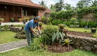 10 Cara Menjaga Kebun Rumah agar Tidak Menjadi Sarang Ular, Mudah dan Aman