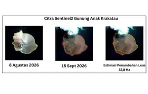 Anak Krakatau Meluas 32,8 Hektare Usai Erupsi, Muncul 2 Daratan Baru