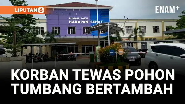 VIDEO: Korban Tewas Pohon Tumbang Pemalang Bertambah, Kini Menjadi 3 Orang