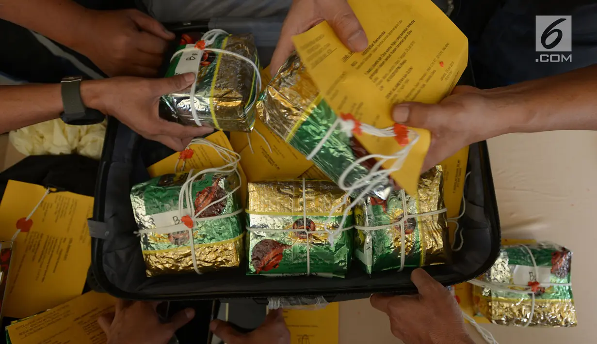 Petugas menata barang bukti dalam rilis penyelundupan kasus narkotika jenis sabu ke kos-kosan di Mapolres Metro Jakarta Utara, Selasa (6/8/2019). Aparat kepolisian mengamankan seorang pengedar berinisial DA pada 27 Juli lalu saat menyelundupkan 10 kg sabu-sabu ke indekos. (merdeka.com/Imam Buhori)