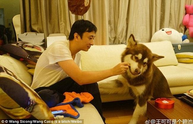 Coco dan sang tuan yakni ang Sicong | Photo: Copyright dailymail.co.uk