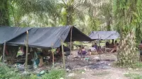 Suduk, pondok beratap terpal yang menjadi tempat tinggal Orang Rimba di Desa Bukit Suban, Kecamatan Air Hitam, Sarolangun, Jambi. (Liputan6.com/Gresi Plasmanto)