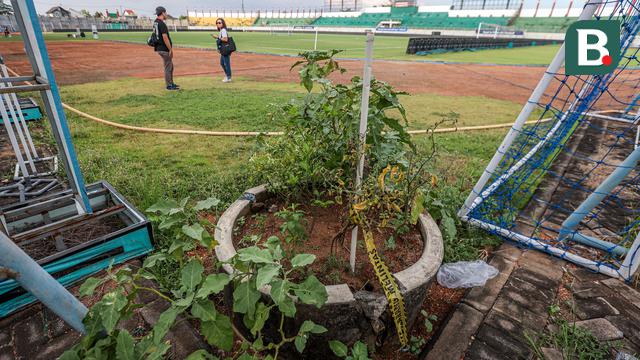 Tanaman di Dalam Stadion Bangkalan