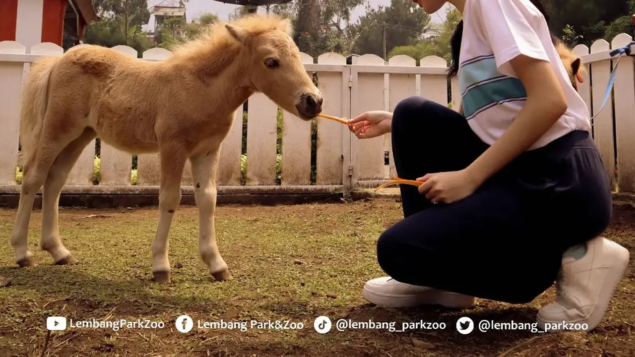 Lembang Park and Zoo