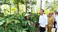 Ini Deretan Kopi Asli Lampung yang Enak dan Wajib Dicoba