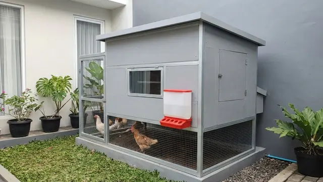 Desain Kandang Ayam Mini
