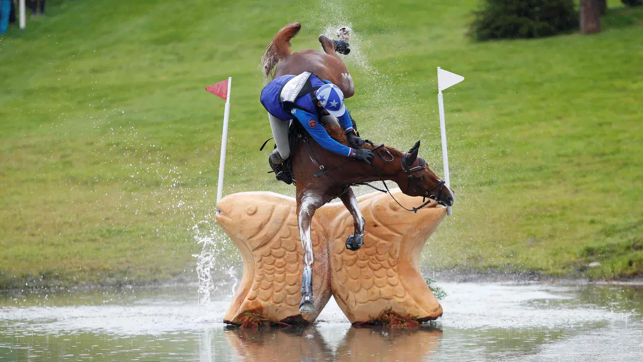 Equestrian