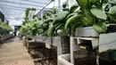 Sistem sirkulasi air di kebun sayur hidroponik Gang Hijau RT 007/008, Kelurahan Cipinang Besar Utara, Jakarta, Rabu (9/9/2020). Kebun sayuran hidroponik ini dibangun pada Mei lalu dan telah sekali panen yang hasilnya dimanfaatkan untuk konsumsi warga setempat.  (merdeka.com/Iqbal S. Nugroho)