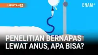 Peneliti Menguji Proses Bernapas Lewat Anus, Seperti Apa?