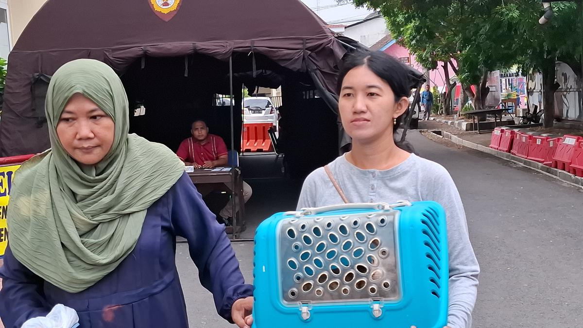 Terungkap Cerita 89 Bangkai Kucing Disimpan di Freezer