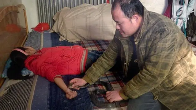 Seorang ayah di Tiongkok ternyata memiliki alasan tersendiri dengan membiarkan sang anak digigit ular kobra.