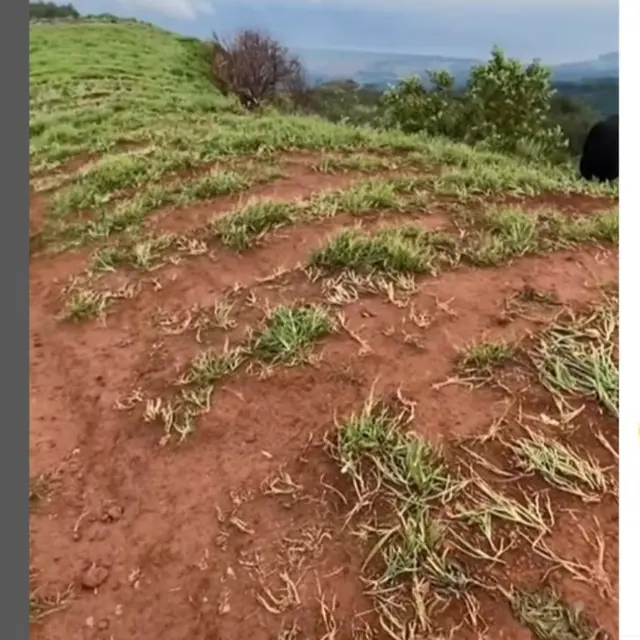 Tempat Wisata dengan Pemandangan Indah di Banteang Sempat Viral, Kini Kebunnya Rusak Terinjak-injak