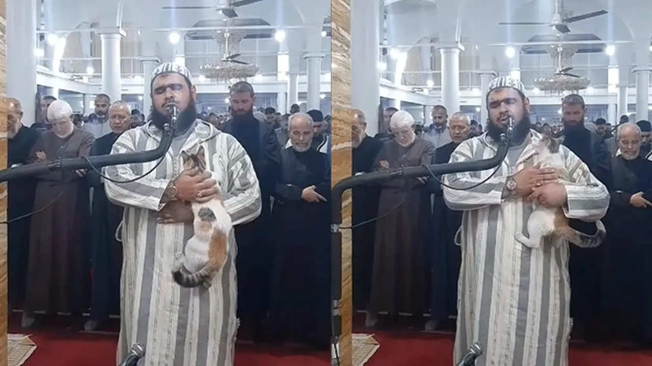 Respons Imam Saat Sholat Tarawih Kucing Melompat ke Arahnya, Tetap Khusyuk Sembari Mengelus