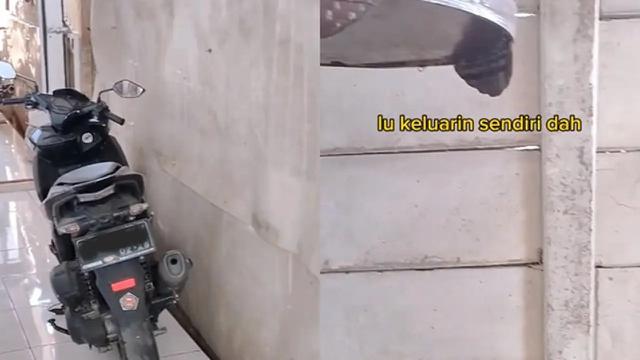 Motor Yamaha Aerox Dijual Murah, Minusnya Bikin Pusing Tujuh Keliling