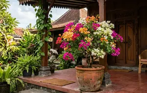 8 Cara Stek Bunga Bougenville 3 Warna, Ini Langkah dan Tips agar Berhasil