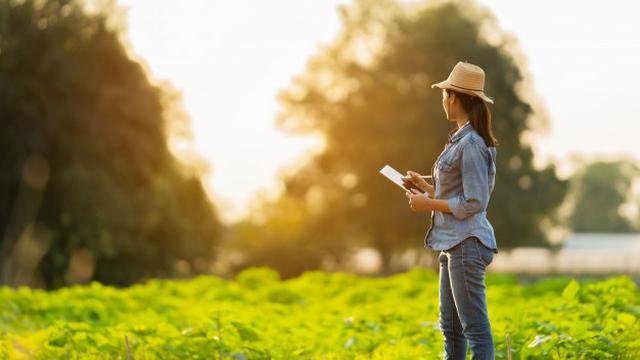 Gambar Ilustrasi Wanita Menggunakan Topi Di Luar Rumah