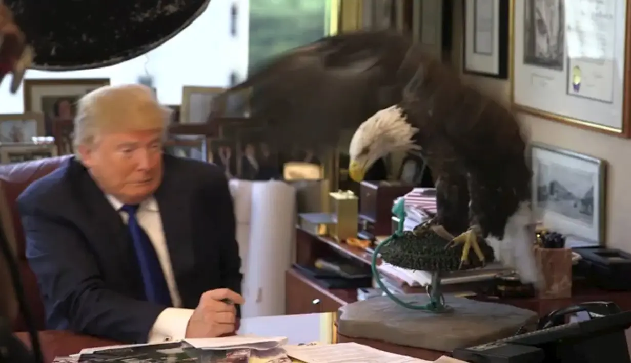 Ekspresi shock kandidat calon presiden AS, Donald Trump saat seekor elang botak berusaha mematuknya dalam sesi pengambilan foto di kantor Majalah TIME untuk nominasi dia sebagai Person of the Year, Kamis (10/12). (REUTERS/TIME Magazine)