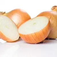 Ilustrasi Bawang Bombay Credit: freepik.com