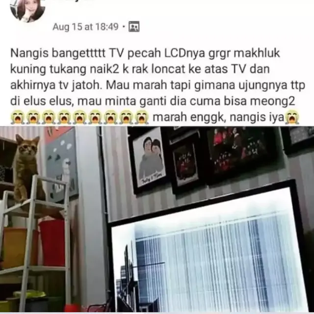 6 Status Facebook Orang Apes Ini Kocak, Curahan Hatinya Bikin Ngakak