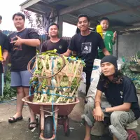 Limbah Panen Sayur di Rejang Lebong Disulap Jadi Listrik Desa