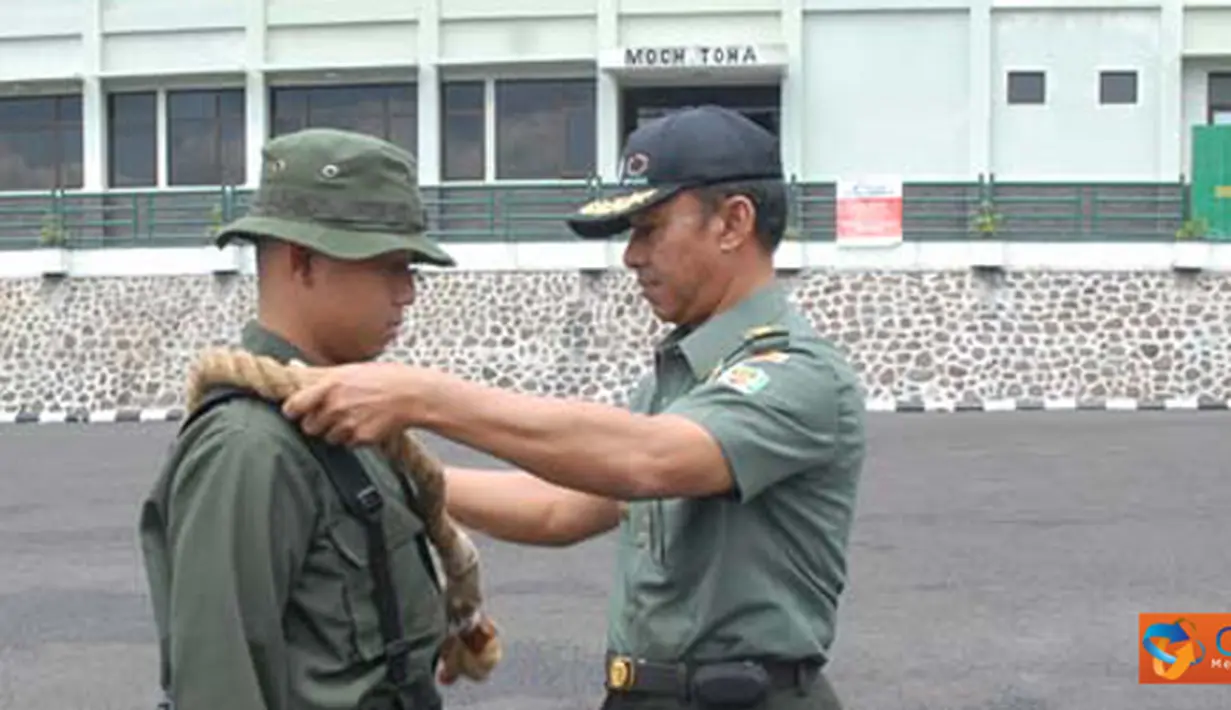 liputan6