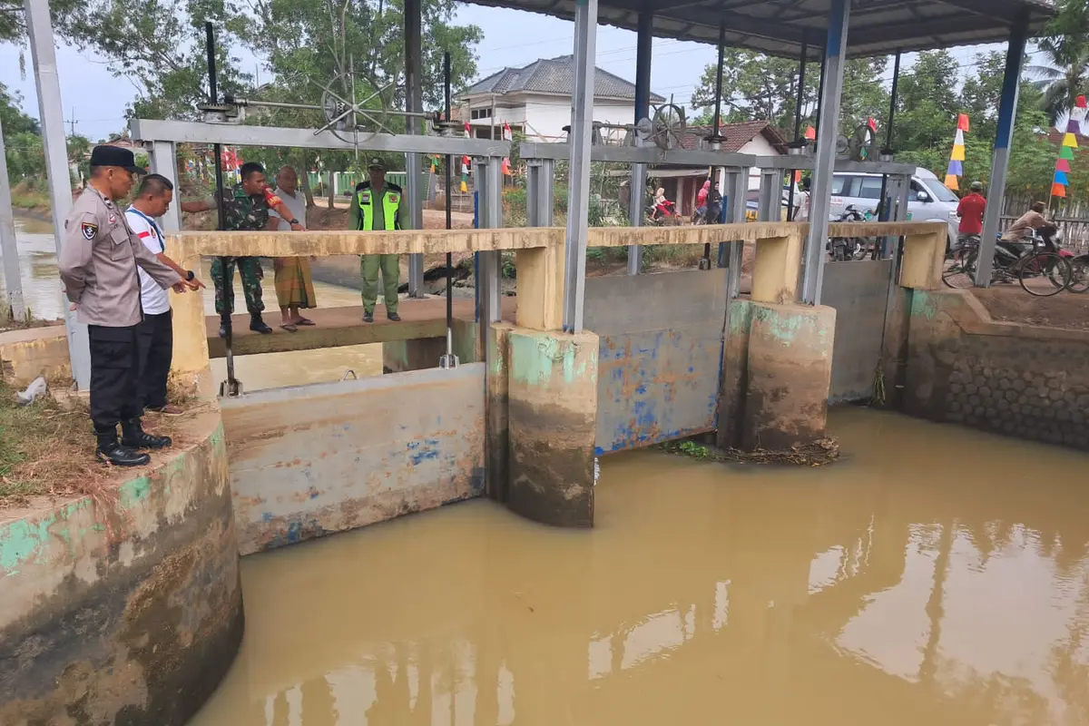 Lokasi kejadian ditemukannya jasad pria berusia 90 tahun di aliran irigasi Kampung Liman Benawi, Lampung Tengah. Foto : (Istimewa).