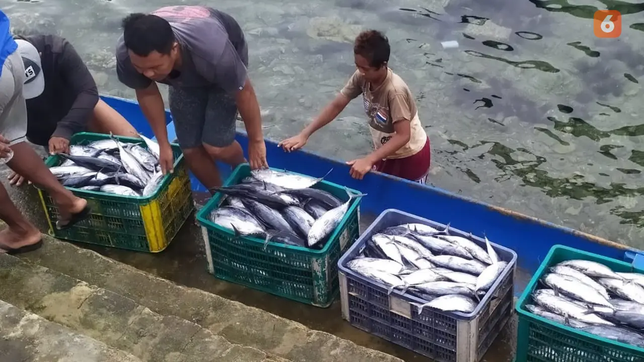 aktifitas warga di Pelabuhan Pendaratan Ikan (PPI) Donggala
