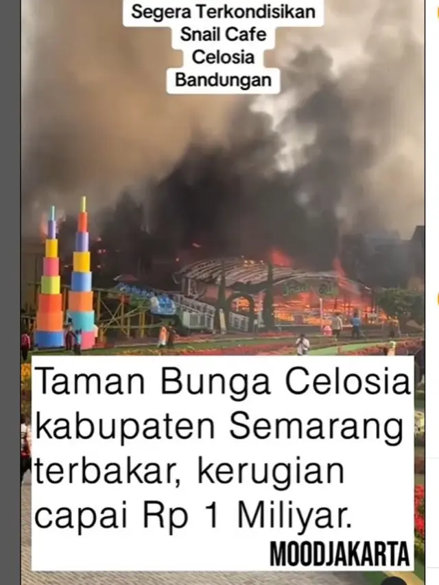 Taman Celosia Kebakaran, Dikenal Sebagai Taman Bunga Bernuansa Kekinian dan Punya Beragam Spot Foto Instagramable