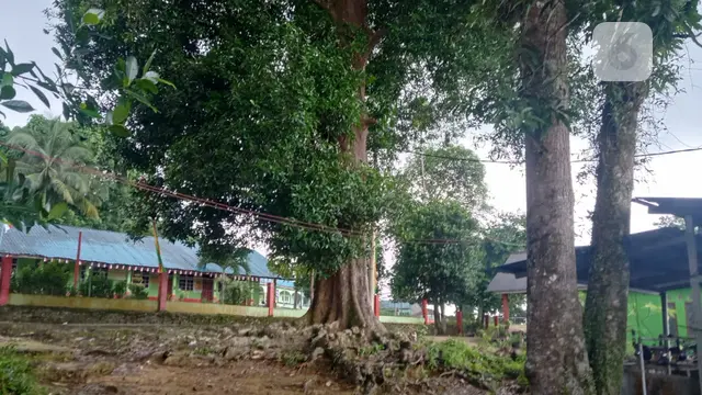 Batam