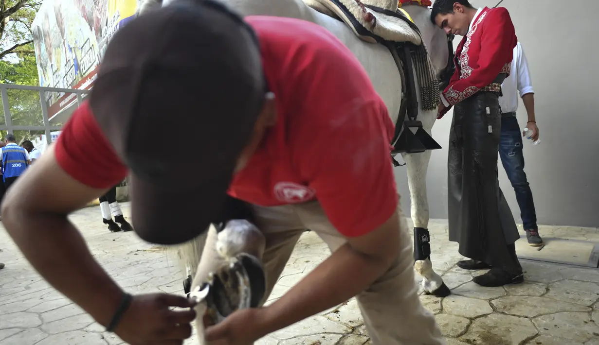 Seorang pria mempersiapkan tapal kuda milik matador berkuda Kolombia Willy Rodriguez sebelum adu banteng di arena adu banteng Canaveralejo dalam rangka Festival Cali di Cali, Kolombia (27/12/2022). (AFP/Joaquin Sarmiento)